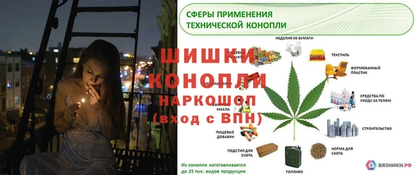 стаф Лабытнанги