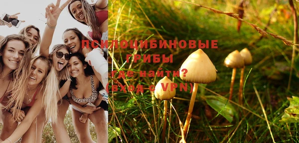 стаф Лабытнанги