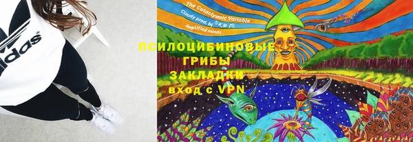 стаф Лабытнанги