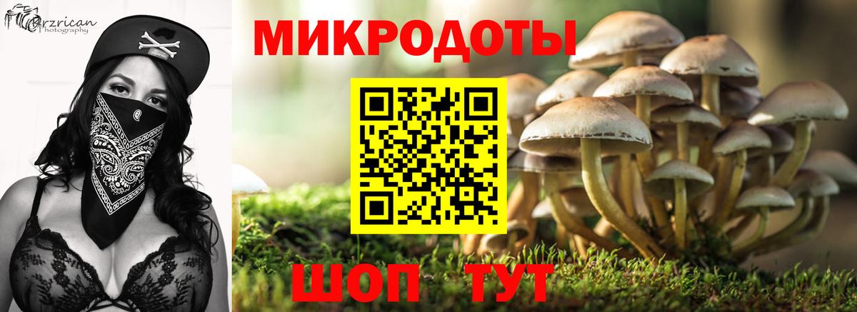 Галлюциногенные грибы Magic Shrooms Рузаевка